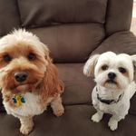 Kate Akers - @akers2870 - Instagram