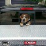Kate Akers - @mrs.poopoo101 - Instagram