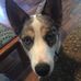 Kate Alden - Facebook
