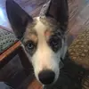 Kate Alden - @kate.alden - TikTok