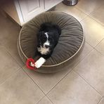 Katherine Adele Noonan Aldinger - Facebook