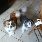 Kathy Aldinger - Facebook
