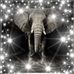 Kate Ansel - Facebook