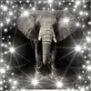 kateansel846 - @kateansel846 - TikTok