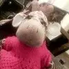 kateansell135 - @kateansell135 - TikTok