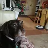 kateansell3411kate - @kateansell3411 - TikTok