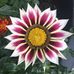 Kate Arcand - Facebook