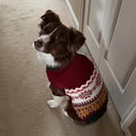 Katie Burger Armbruster - @chllinkate - Instagram