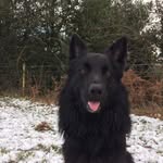 Katie Ashman - @maple_cat564 - Instagram