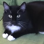 Kate Ashworth - @ashworth1576 - Instagram