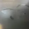 Kate._.Austen - @kate._.austen - TikTok
