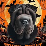 Kate Ayers - @sweetpeas_the_pei - Instagram