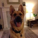 Kate Ayres - @kateayres754 - Instagram