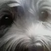 Kate.bach - @kat.bach - TikTok