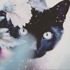 KateBackhouse - @kback27 - TikTok