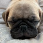 Katie Papini Backus - @katiepapinibackus - Instagram