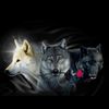 Kate beech - @darkrose56 - TikTok