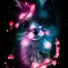 Kate Blackwell - @kateblackwell1 - TikTok