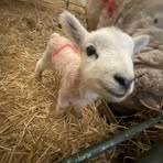 Kate Boardman - Facebook