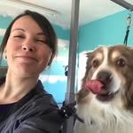 Kate Boisvert - @humblehoundspetstyling - Instagram