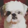 Kate_Borja4 - @Kate_Borja4 - TikTok