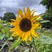 Kate Bowles - Facebook