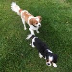 Kate Breslin - @breslin.kate - Instagram