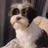 Katie Brogan - @katie.brogan2 - TikTok