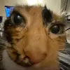 kate.buckner - @kate.not_katie - TikTok