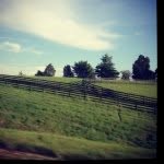 Kate Busch - @katebusch - Instagram