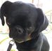 Kate Busch - Facebook