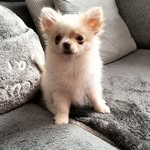 Kate Busch - @merlin_14123 - Instagram