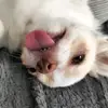 katebusch2787 - @katebusch2787 - TikTok
