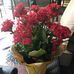 Katie Busch - Facebook