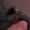 Kate Cardinalli - @katecardinalli27 - TikTok