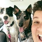 Kate Carver - @etakrevrac - Instagram