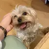 casey kate - @casey.kate07 - TikTok