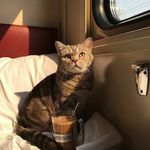 @_kate_castle - Instagram