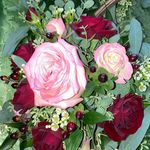 Katie Caudill - @katie_caudill27 - Instagram