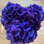 Kate Cavanaugh - @kcav.90 - Instagram
