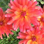 Mary Kate Cavanaugh - @mkcavanaugh3 - Instagram