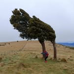 Kate Cave - @cave6231 - Instagram