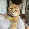 Kate Cave - @kate.cave - TikTok