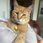 Kate Cave - @kate.cave.9615 - Instagram