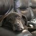 Katie Chaney - Facebook