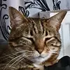 Kate Chivers - @katechivers73 - TikTok