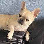 Kate Clary - @bronsontheblonde - Instagram