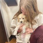 kate - @kateclawson_ - Instagram