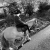 Kate 🤍🐎 - @kate_cleary2 - TikTok