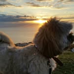 kate - @kate.cleary64 - Instagram
